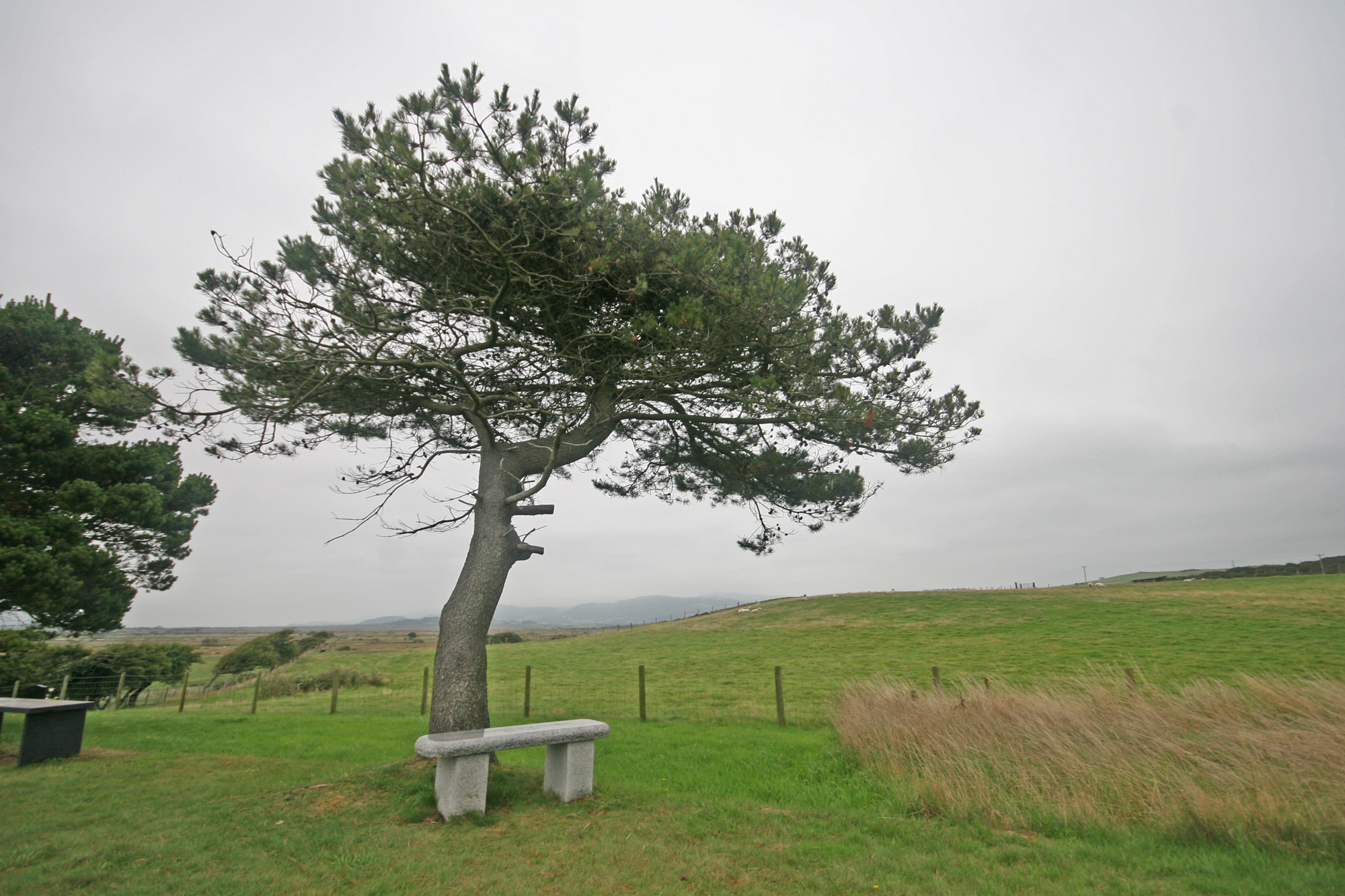 Eglwys Sant Mathew, Y Borth