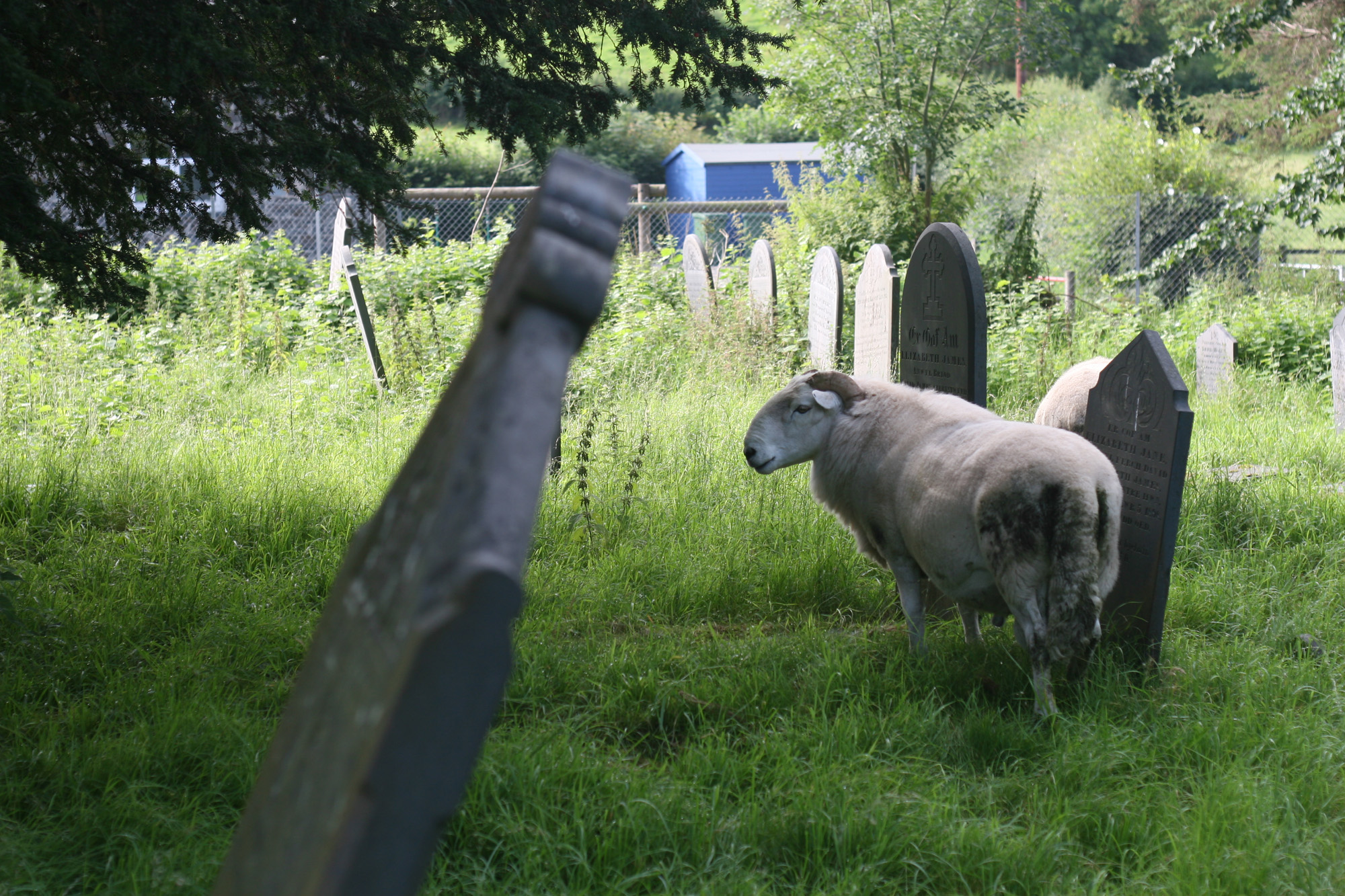 Eglwys Sant Mihangel a’r Holl Angylion, Llanfihangel-y-Creuddyn