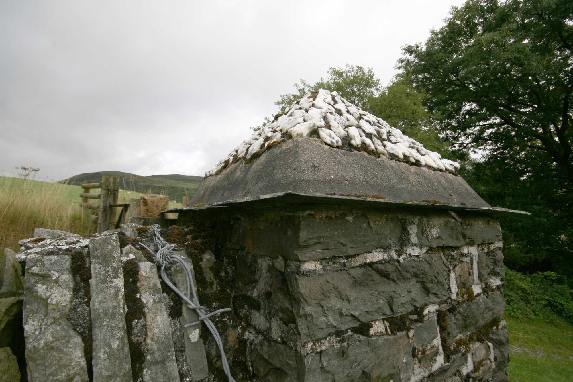 St John the Baptist, Ysbyty Cynfyn