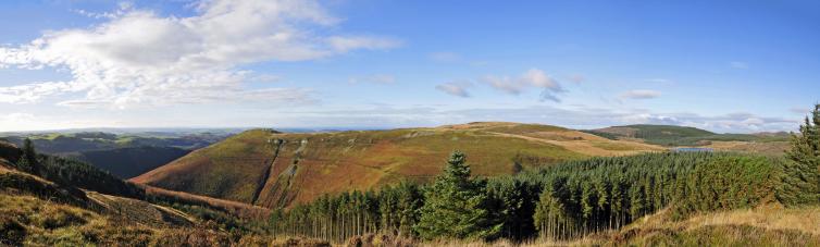 Fantastic walks and wonderful wildlife Fantastic walks and wonderful wildlife