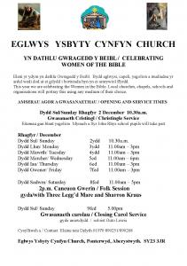 Ysbyty Cynfyn Christmas Festival